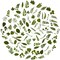 100Pcs Small Green Leaf Stickers,Nature Plant Stickers (Flower)